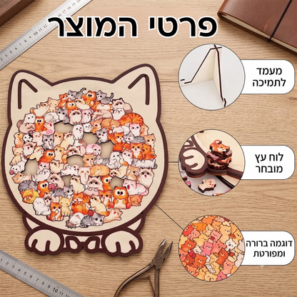 זו-פאז